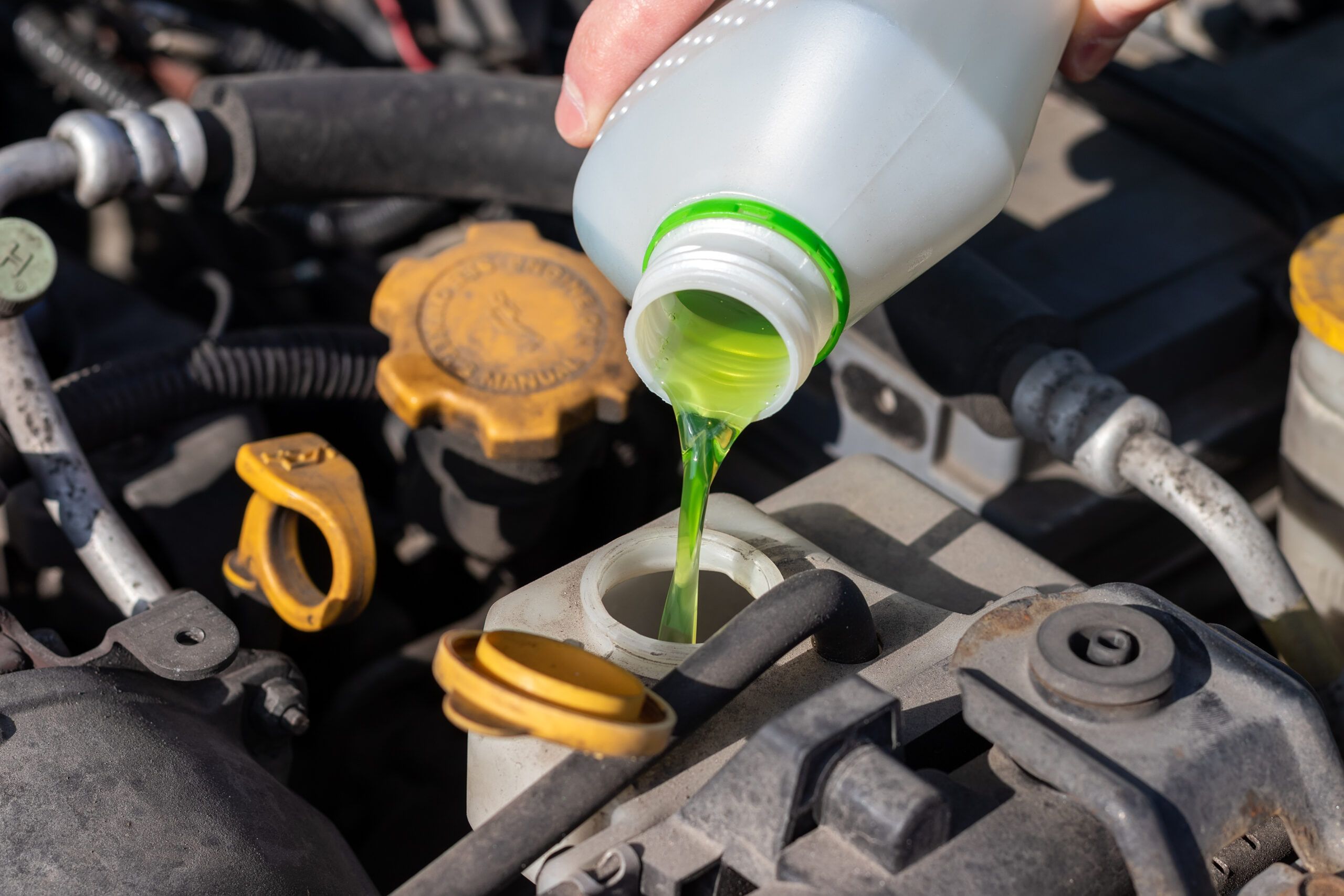 Engine Coolant / Anti Freeze